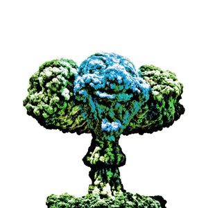 Meet your Posher, Lucid